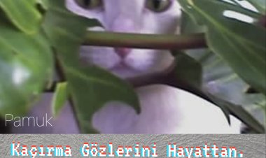 HAyaT ve BaKıŞ