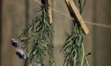 Kalp kırdığıma dair söylentiler var