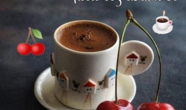 Mutlu CUMALAR