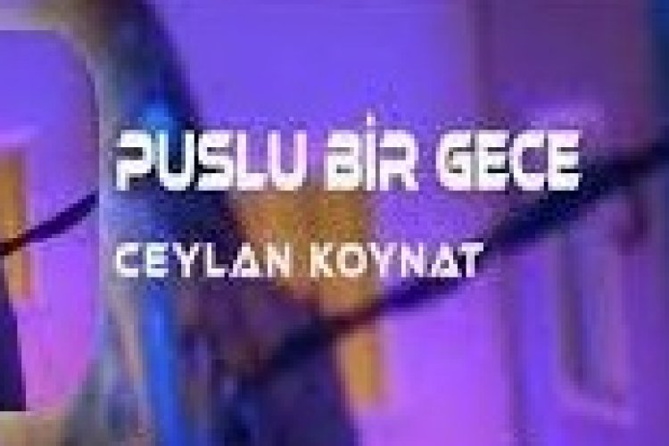Ceylan Koynat - Puslu Bir Gece