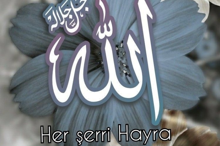 Cumanız Müarek