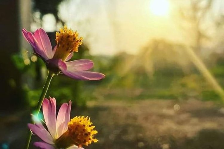 Sabahları uyanıp parıldayan güneşi gördüğümde