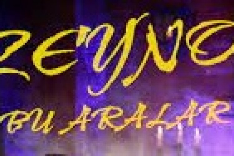 Zeyno - Bu Aralar