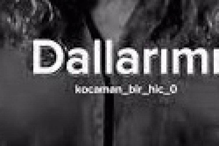 çinare melikzade dallarımı kırdılar şarkı sözleri