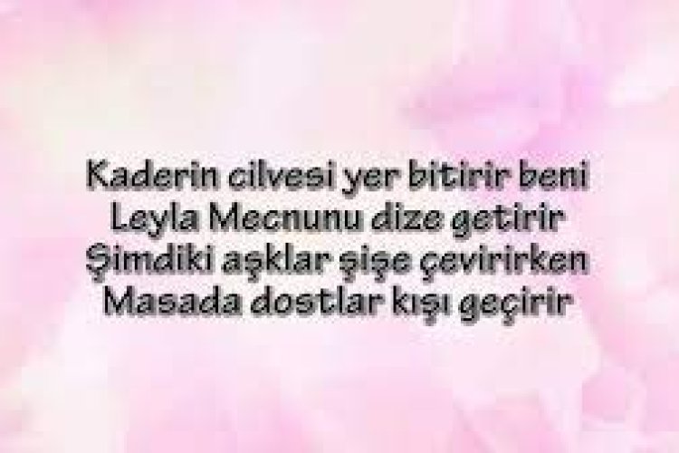 Ozy - Leyla