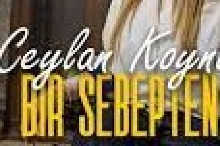 Ceylan Koynat - Bir Sebepten