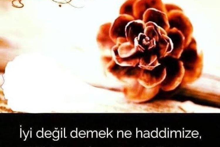 Söylesene, Nasılsın bu sabah