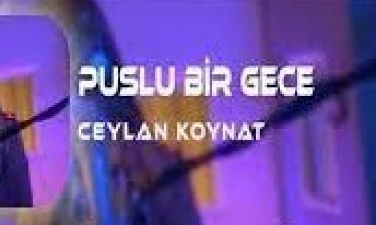 Ceylan Koynat - Puslu Bir Gece