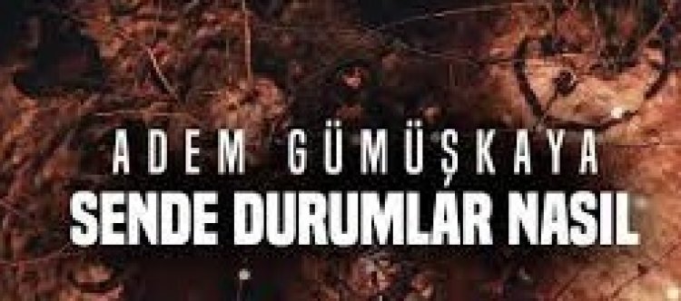 Adem Gümüşkaya - Sende Durumlar Nasıl  şarkı sözleri