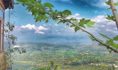 Herşeyi bilen degil