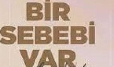 Ebru Gündeş - Bir Sebebi Var şarkı sözleri