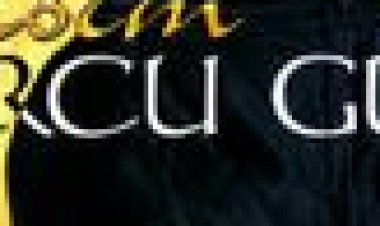 Burcu Güneş - Şerefine şarkı sözleri