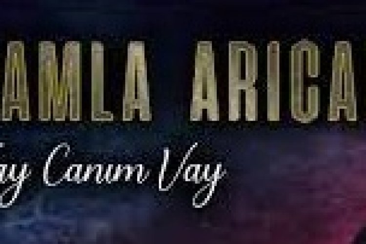 Damla Arıcan - Vay Canım Vay