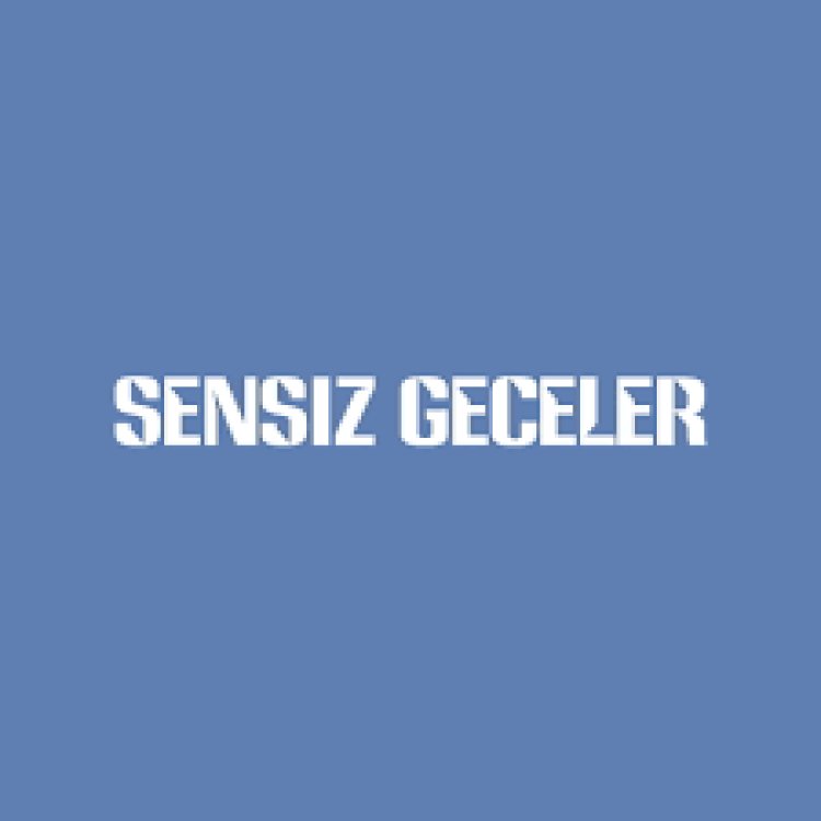 Sevgi Fırat  Tuğrul Bektaş - Sensiz Geceler şarkı sözleri