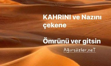 Ömrünü Ver Gitsin