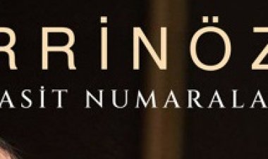 Zerrin Özer - Basit Numaralar şarkı sözleri