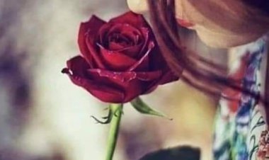 Kimsenin yüzünde bulut yok