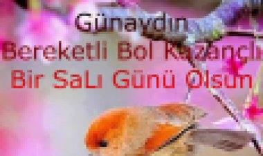 güzel bir salı sabahından günaydın