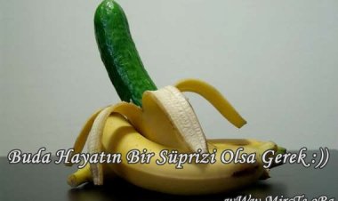 Buda Hayatın Süprizi