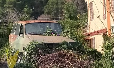 Güzellik durumlar, değerli vakitler,