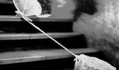 Huzurla geçsin gününüz