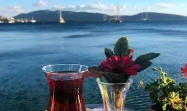 Birde,  Ayrı ayrı çay içmek var ki