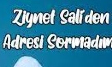 ziynet sali Adresi Sormadım şarkı sözleri