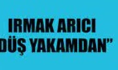 Irmak Arıcı - Düş Yakamdan şarkı sözleri