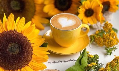 güzel bir  hafta sonu diliyorum arkadaşlar.