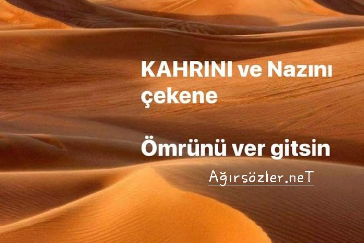 Ömrünü Ver Gitsin