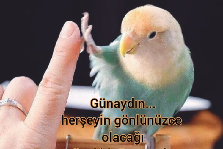 perşembe günü günaydın mesajları
