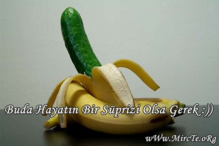 Buda Hayatın Süprizi