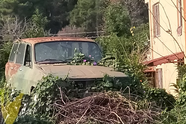 Güzellik durumlar, değerli vakitler,