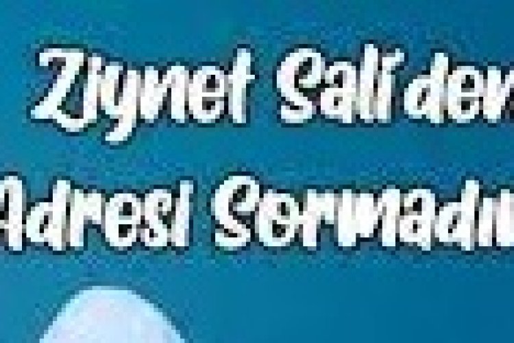 ziynet sali Adresi Sormadım