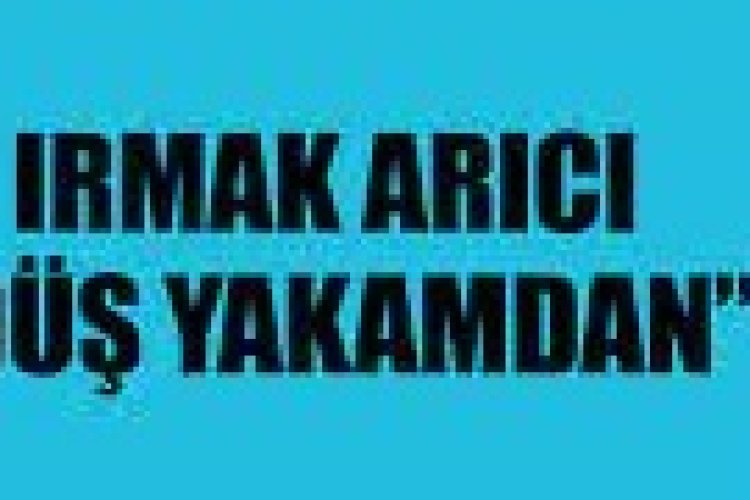 Irmak Arıcı - Düş Yakamdan