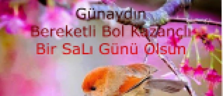 güzel bir salı sabahından günaydın