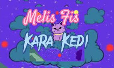Melis Fis - Kara Kedi şarkı sözleri