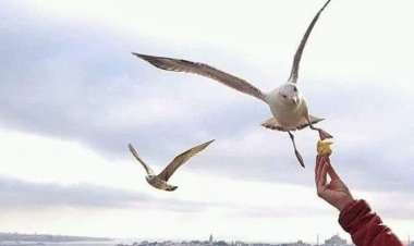 Gecikmenin hikmetini anlamasak da