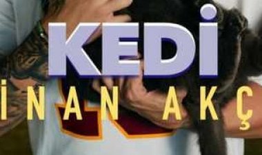 Sinan Akçıl - Kedi şarkı sözleri
