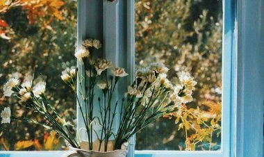 Günaydın  Hayırlı sabahlar, huzurlu günler