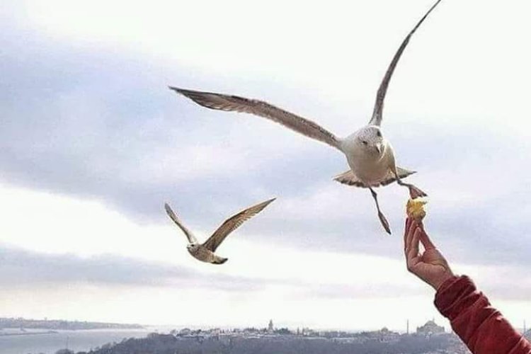 Gecikmenin hikmetini anlamasak da