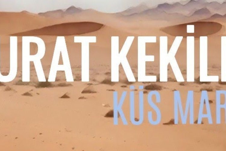 Murat Kekilli - Küs Martı