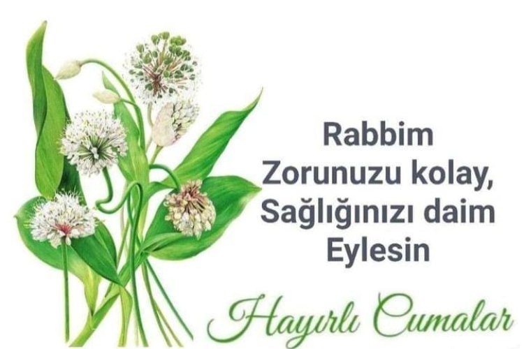 Gecemiz hayrolsun canlar
