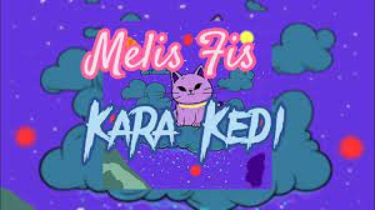 Melis Fis - Kara Kedi şarkı sözleri