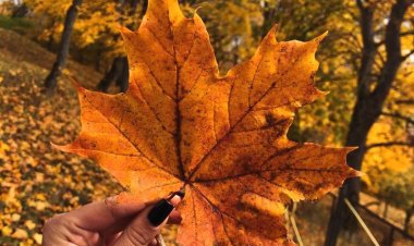 Sevgili Ekim bize mutluluk getir