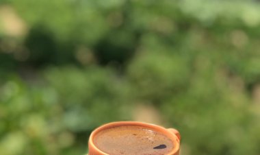 içimizde Eylül Ekim sonbahar işte