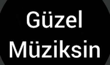 Anıl Durmuş - Demir Attık Bu Limandan şarkı sözleri