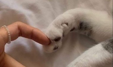 Yeri gelmişken  söyleyeyim