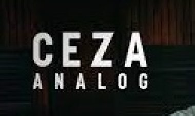 Ceza - Analog şarkı sözleri