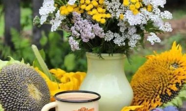 Size ne iyi geliyorsa onları yapın